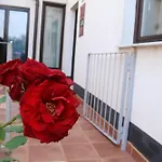 Buba Apartment