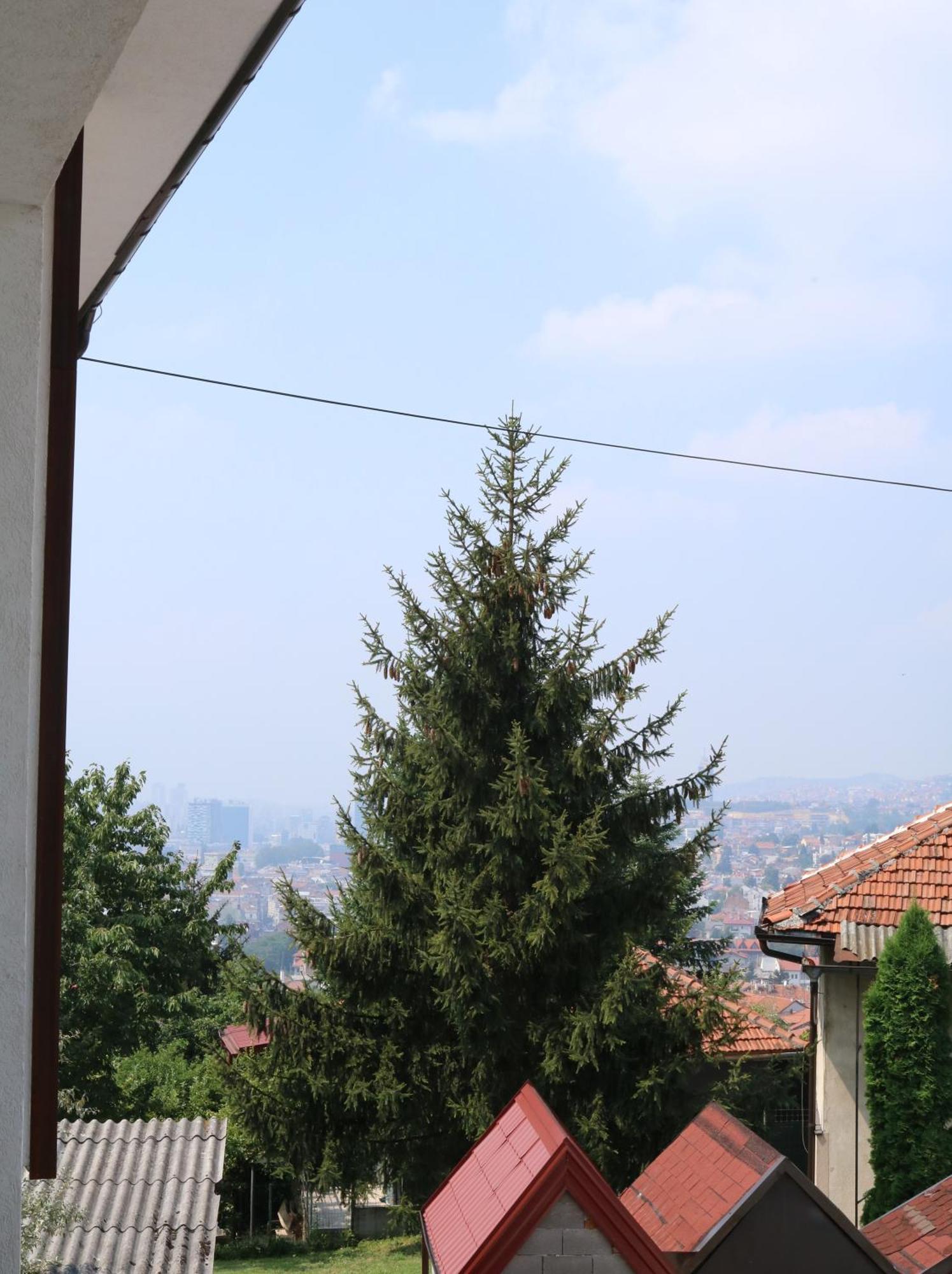Apartment Buba